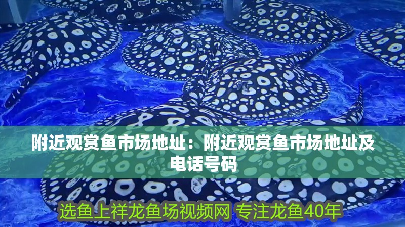 附近觀賞魚市場地址：附近觀賞魚市場地址及電話號碼