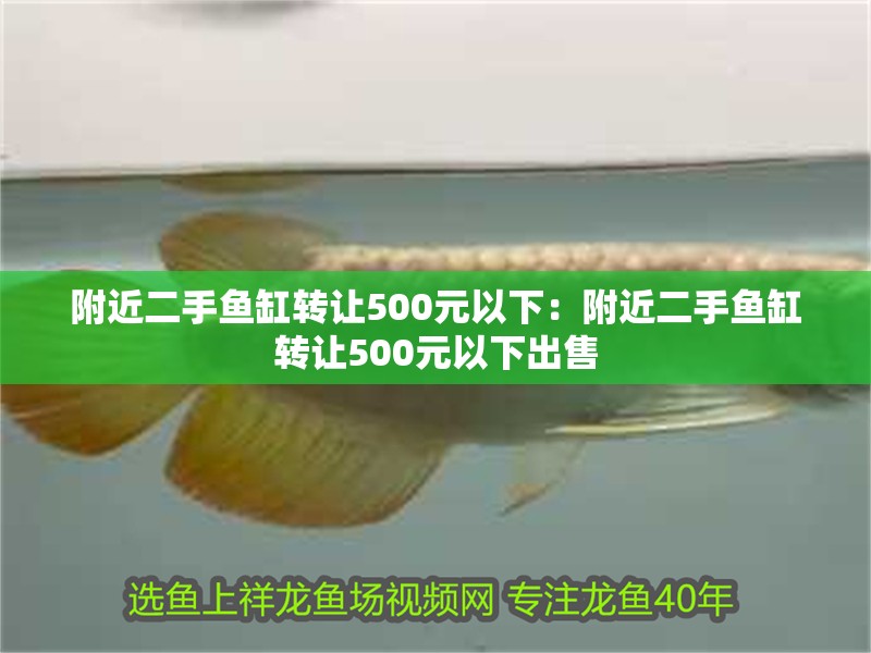 附近二手魚缸轉讓500元以下：附近二手魚缸轉讓500元以下出售