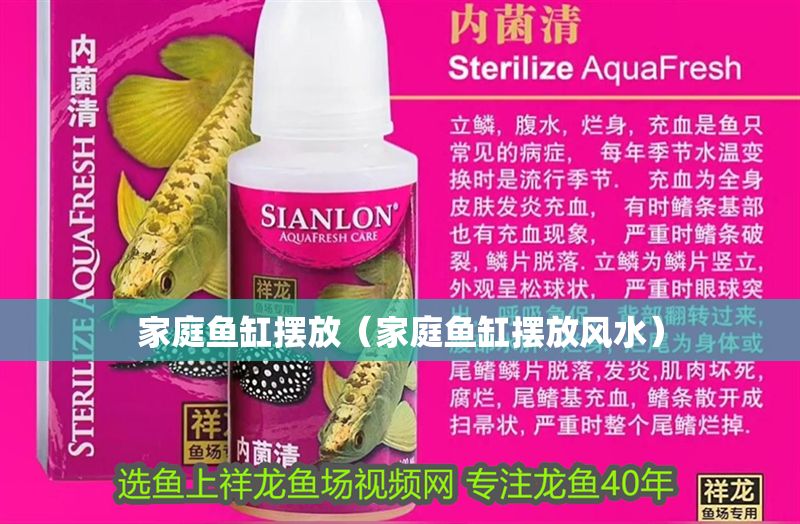 家庭魚缸擺放（家庭魚缸擺放風水）