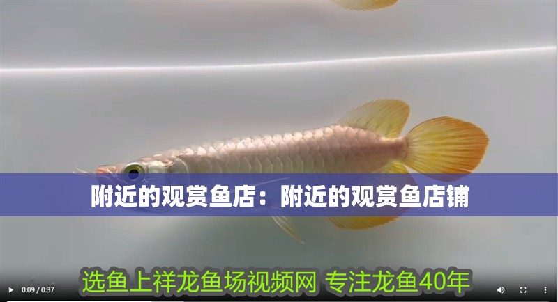 附近的觀賞魚店：附近的觀賞魚店鋪