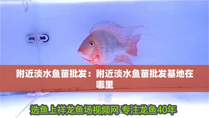 附近淡水魚苗批發：附近淡水魚苗批發基地在哪里