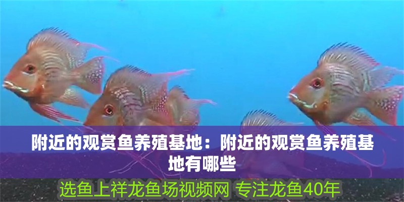 附近的觀賞魚養殖基地：附近的觀賞魚養殖基地有哪些