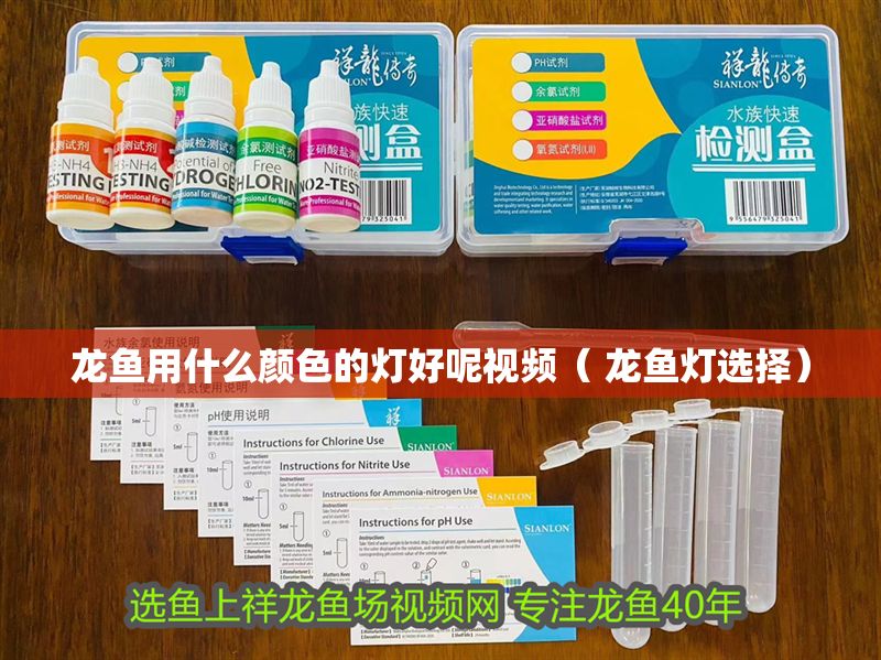 龍魚用什么顏色的燈好呢視頻（ 龍魚燈選擇）
