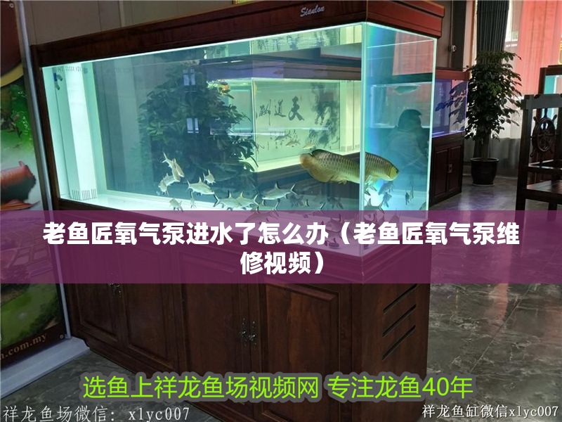 老魚匠氧氣泵進水了怎么辦（老魚匠氧氣泵維修視頻）