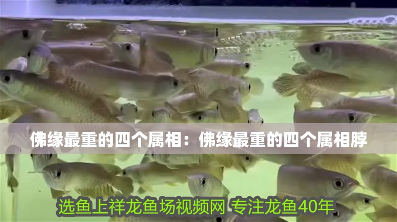 佛緣最重的四個屬相：佛緣最重的四個屬相脖