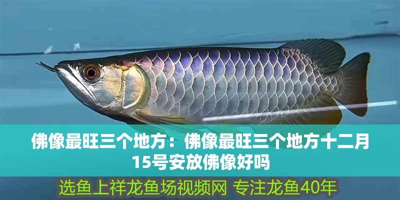 佛像最旺三個地方：佛像最旺三個地方十二月15號安放佛像好嗎
