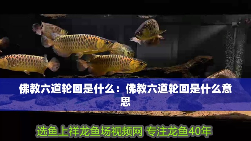 佛教六道輪回是什么：佛教六道輪回是什么意思