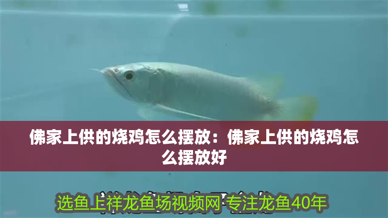 佛家上供的燒雞怎么擺放：佛家上供的燒雞怎么擺放好