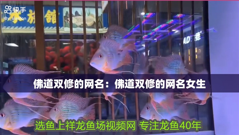 佛道雙修的網(wǎng)名：佛道雙修的網(wǎng)名女生