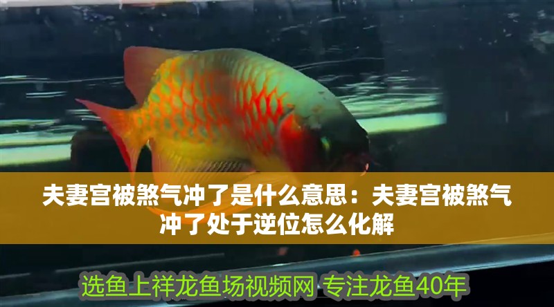 夫妻宮被煞氣沖了是什么意思：夫妻宮被煞氣沖了處于逆位怎么化解