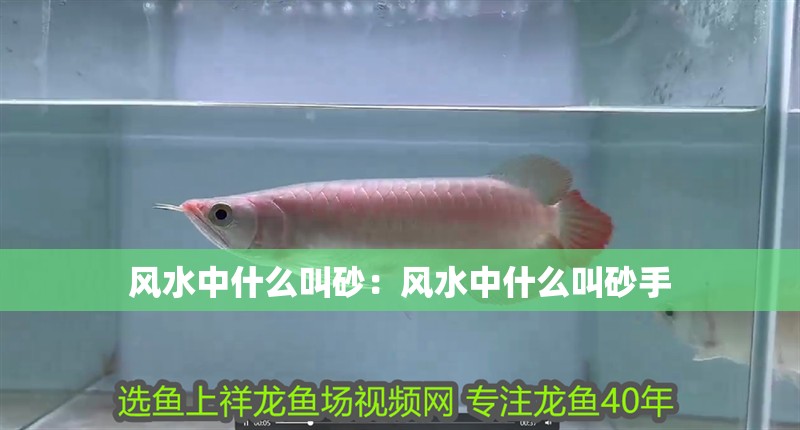 風(fēng)水中什么叫砂：風(fēng)水中什么叫砂手