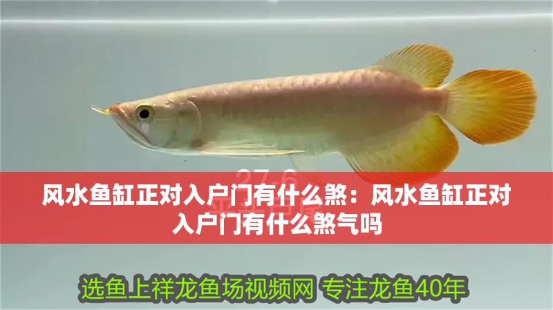 風(fēng)水魚缸正對入戶門有什么煞：風(fēng)水魚缸正對入戶門有什么煞氣嗎