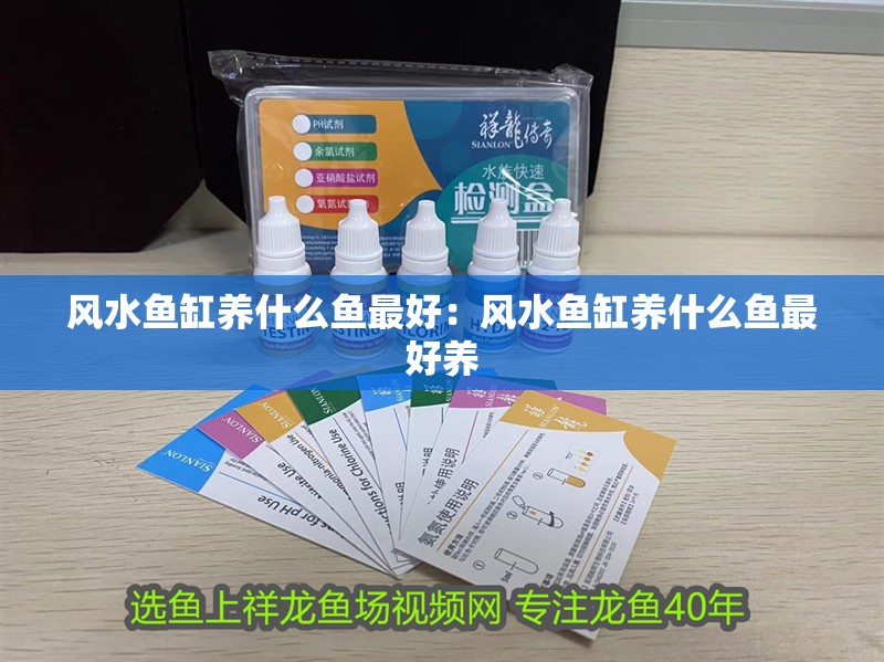 風水魚缸養什么魚最好：風水魚缸養什么魚最好養