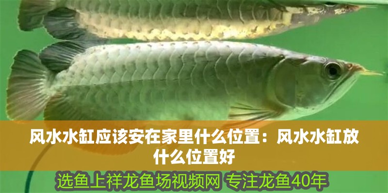 風水水缸應該安在家里什么位置：風水水缸放什么位置好