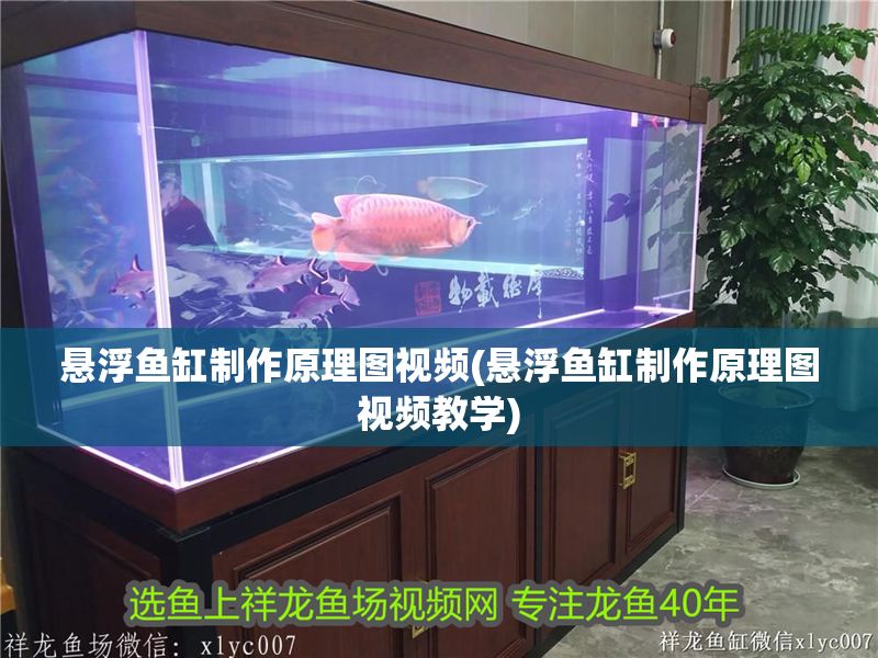 懸浮魚缸制作原理圖視頻(懸浮魚缸制作原理圖視頻教學)