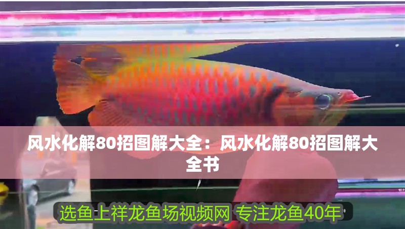 風水化解80招圖解大全：風水化解80招圖解大全書