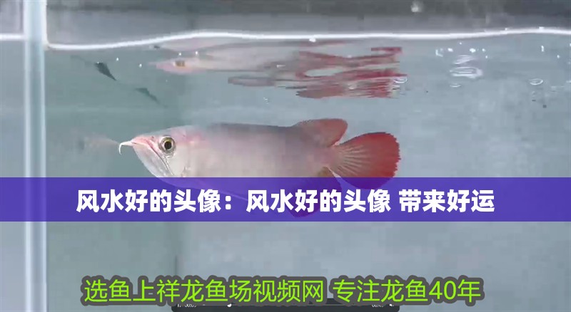 風水好的頭像：風水好的頭像 帶來好運