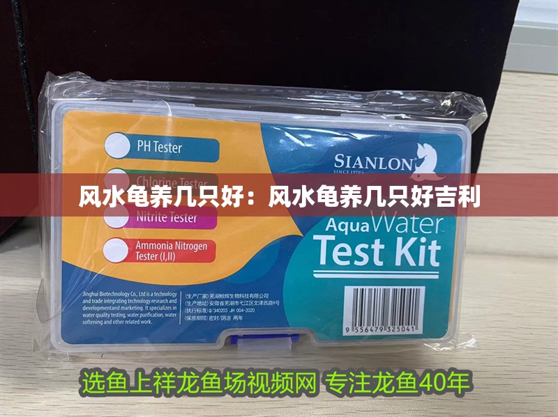 風水龜養幾只好：風水龜養幾只好吉利 風水龜養幾只好：風水龜養幾只好吉利 龍魚百科 第1張
