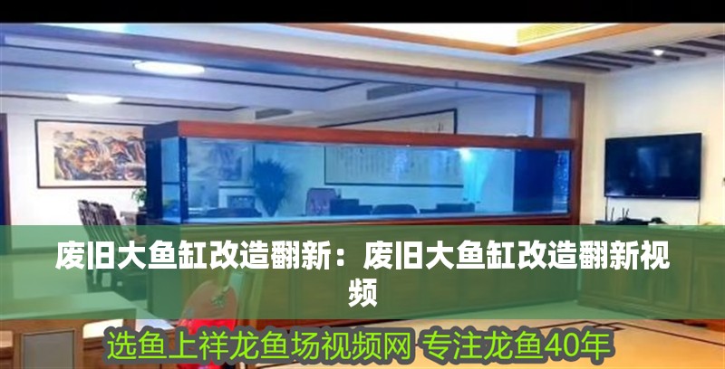 廢舊大魚缸改造翻新：廢舊大魚缸改造翻新視頻