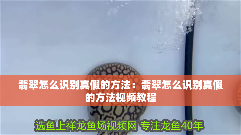 翡翠怎么識別真假的方法：翡翠怎么識別真假的方法視頻教程