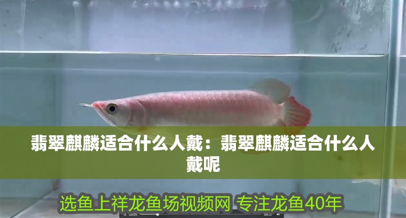 翡翠麒麟適合什么人戴：翡翠麒麟適合什么人戴呢