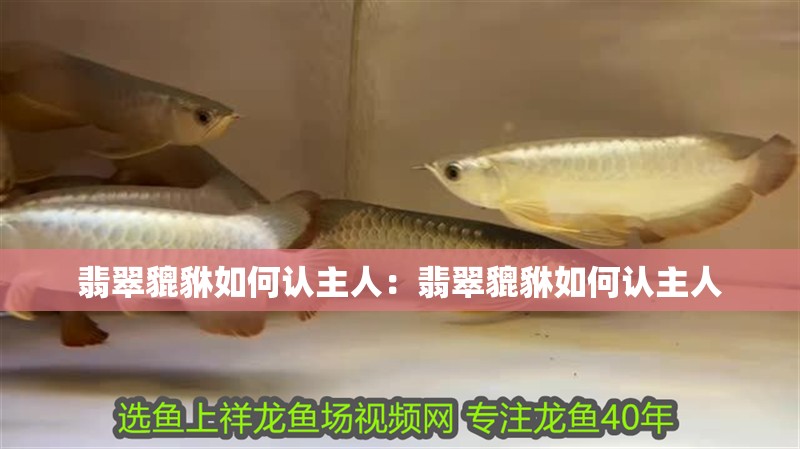 翡翠貔貅如何認主人：翡翠貔貅如何認主人