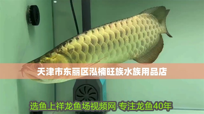 天津市東麗區(qū)泓楠旺族水族用品店