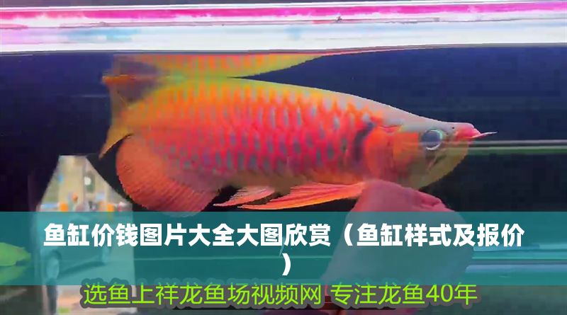 魚缸價錢圖片大全大圖欣賞（魚缸樣式及報價） 魚缸價錢圖片大全大圖欣賞（魚缸樣式及報價） 龍魚百科 第1張