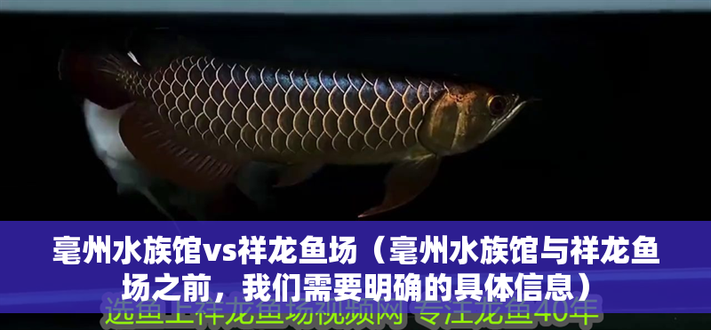 毫州水族館vs祥龍魚場（毫州水族館與祥龍魚場之前，我們需要明確的具體信息）