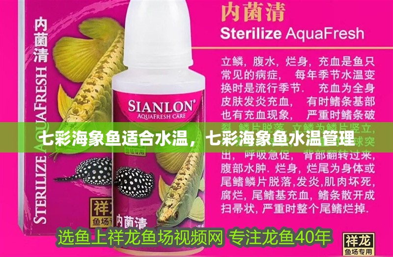 七彩海象魚適合水溫，七彩海象魚水溫管理