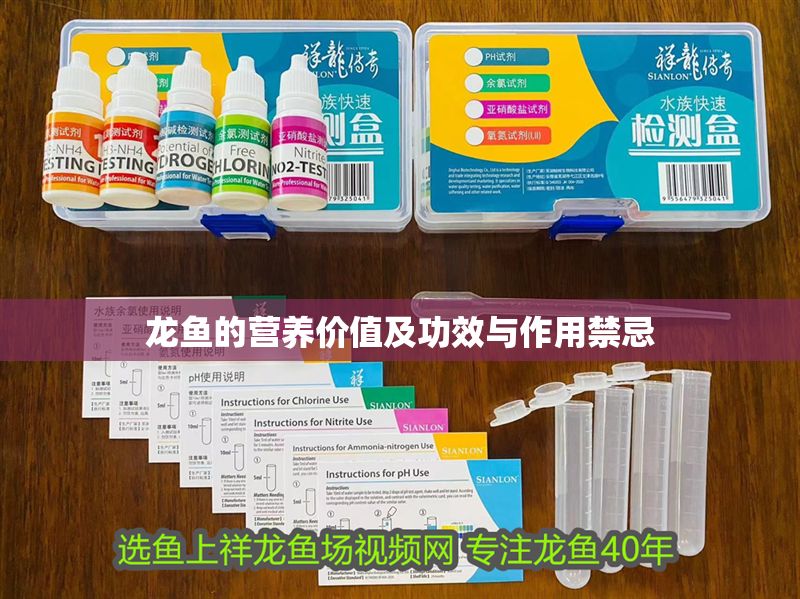 龍魚的營養價值及功效與作用禁忌