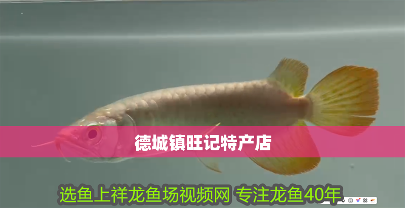 德城鎮旺記特產店