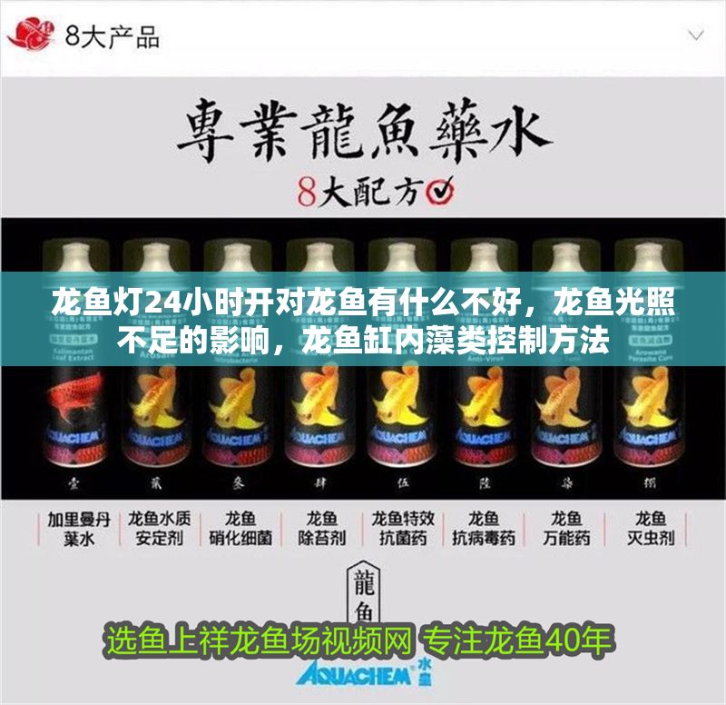 龍魚燈24小時開對龍魚有什么不好，龍魚光照不足的影響，龍魚缸內藻類控制方法