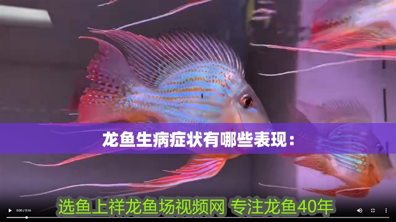 龍魚生病癥狀有哪些表現：