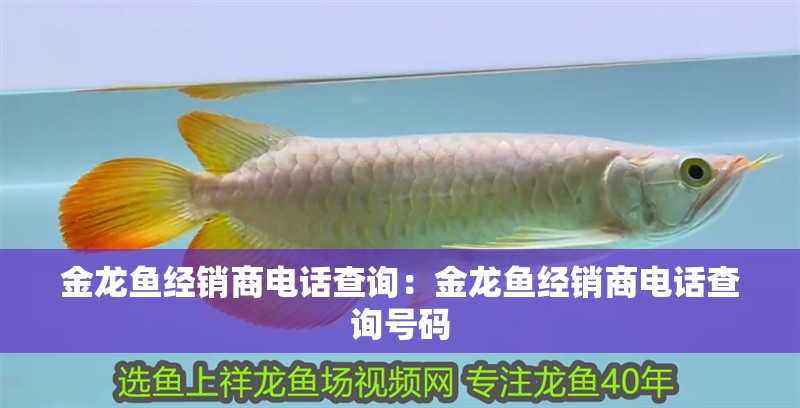 金龍魚經銷商電話查詢：金龍魚經銷商電話查詢號碼