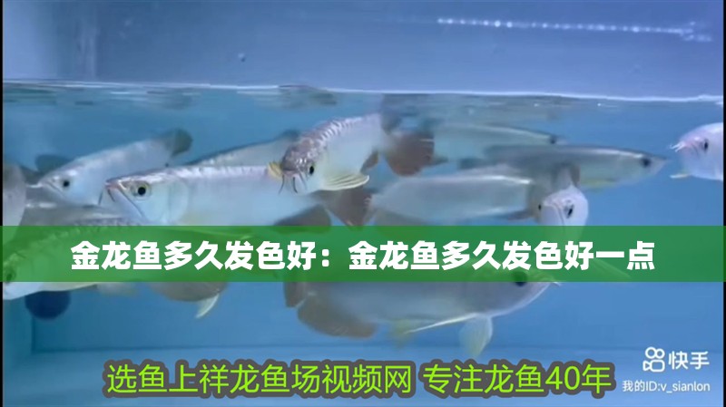 金龍魚多久發色好：金龍魚多久發色好一點