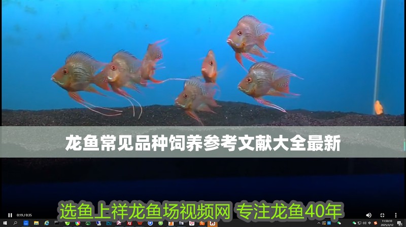 龍魚常見品種飼養參考文獻大全最新