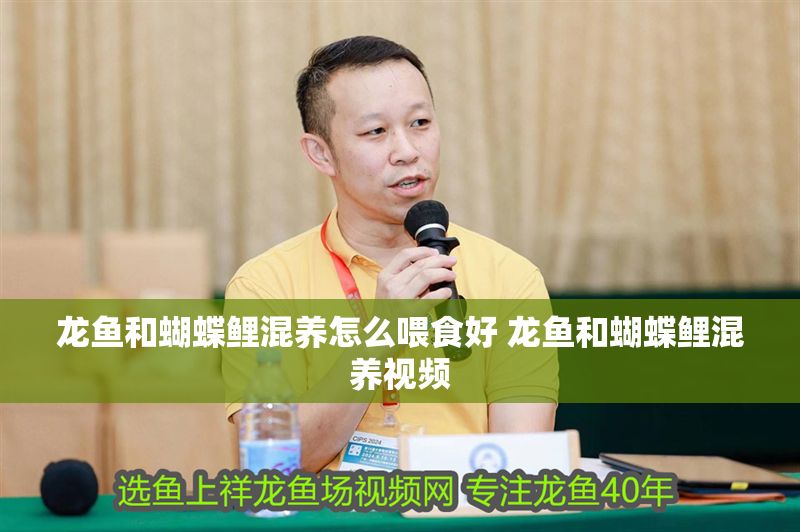 龍魚(yú)和蝴蝶鯉混養(yǎng)怎么喂食好 龍魚(yú)和蝴蝶鯉混養(yǎng)視頻