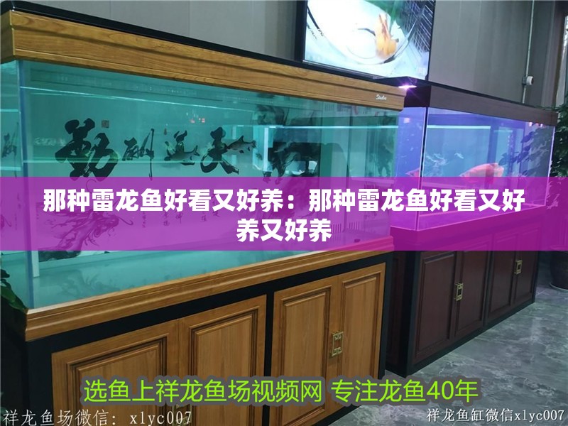 那種雷龍魚好看又好養(yǎng)：那種雷龍魚好看又好養(yǎng)又好養(yǎng)