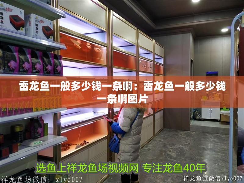 雷龍魚一般多少錢一條?。豪堲~一般多少錢一條啊圖片