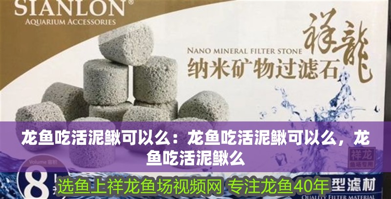 龍魚吃活泥鰍可以么:龍魚吃活泥鰍可以么,龍魚吃活泥鰍么 龍魚百科 第2張 龍魚吃活泥鰍可以么:龍魚吃活泥鰍可以么,龍魚吃活泥鰍么 龍魚吃活泥鰍可以么:龍魚吃活泥鰍可以么,龍魚吃活泥鰍么 龍魚百科 第2張