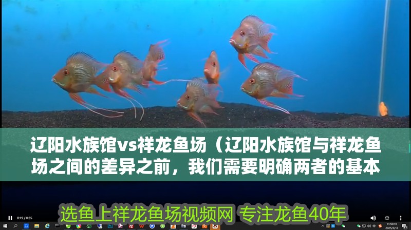 遼陽水族館vs祥龍魚場（遼陽水族館與祥龍魚場之間的差異之前，我們需要明確兩者的基本信息和特點(diǎn)） 遼陽水族館vs祥龍魚場（遼陽水族館與祥龍魚場之間的差異之前，我們需要明確兩者的基本信息和特點(diǎn)） 全國水族館企業(yè)名錄 第1張