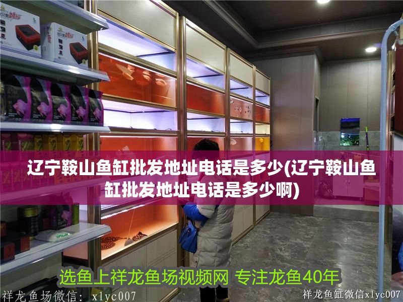 遼寧鞍山魚缸批發地址電話是多少(遼寧鞍山魚缸批發地址電話是多少啊)