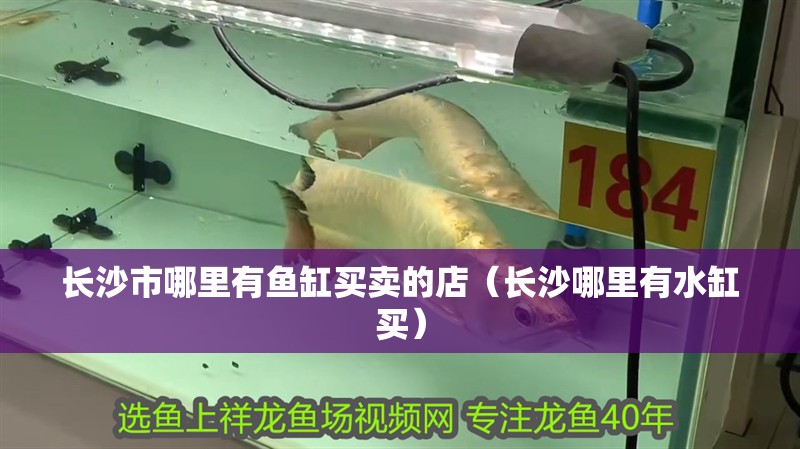 長沙市哪里有魚缸買賣的店（長沙哪里有水缸買）
