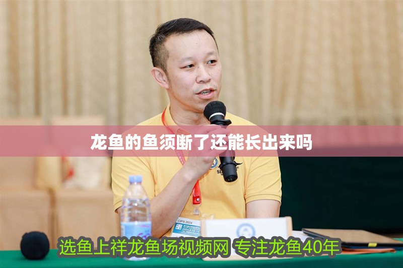 龍魚的魚須斷了還能長出來嗎