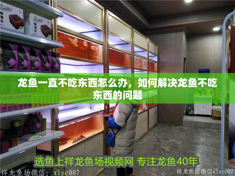 龍魚一直不吃東西怎么辦，如何解決龍魚不吃東西的問題