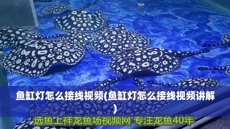 魚缸燈怎么接線視頻(魚缸燈怎么接線視頻講解)