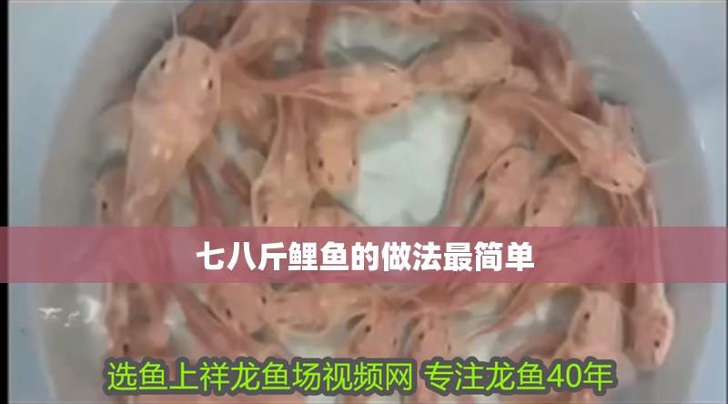 七八斤鯉魚的做法最簡單