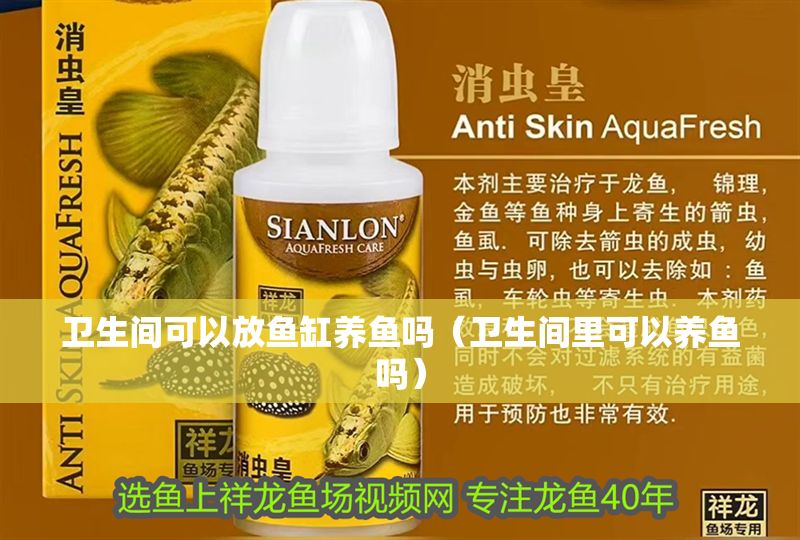 衛生間可以放魚缸養魚嗎（衛生間里可以養魚嗎）