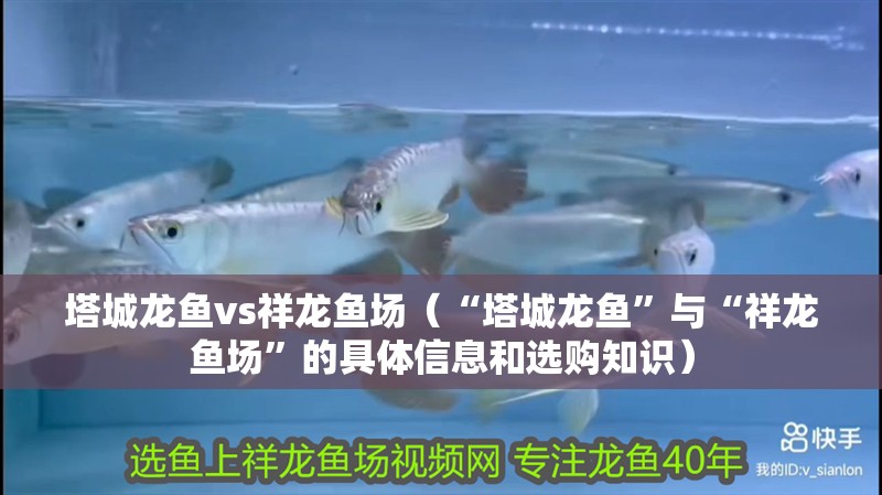 <strong><mark>塔城</mark></strong>龍魚vs祥龍魚場（“<strong><mark>塔城</mark></strong>龍魚”與“祥龍魚場”的具體信息和選購知識）